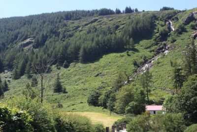 Private Wicklow Mountains Day Tour - Meeting in Dublin (and handling cruise port pickups)