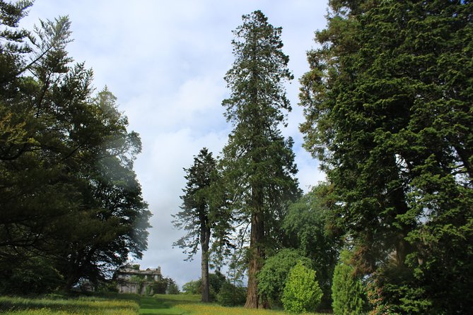Private Wicklow Mountains Day Tour - Powerscourt House & Gardens plus the Avoca café pause