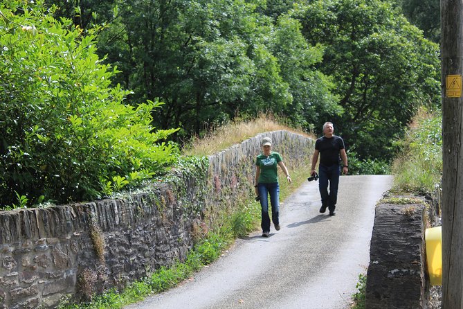 Private Wicklow Mountains Day Tour - Glendalough: monastic ruins, round tower, and the lake walk