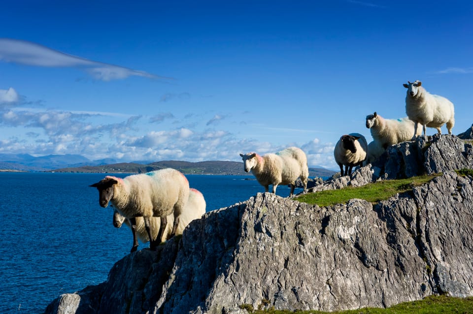 Private Wild Atlantic Day Tour from Cork - What makes this private Wild Atlantic day feel different