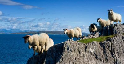Private Wild Atlantic Day Tour from Cork - How the guide builds your day: must-see plus off-the-beaten track