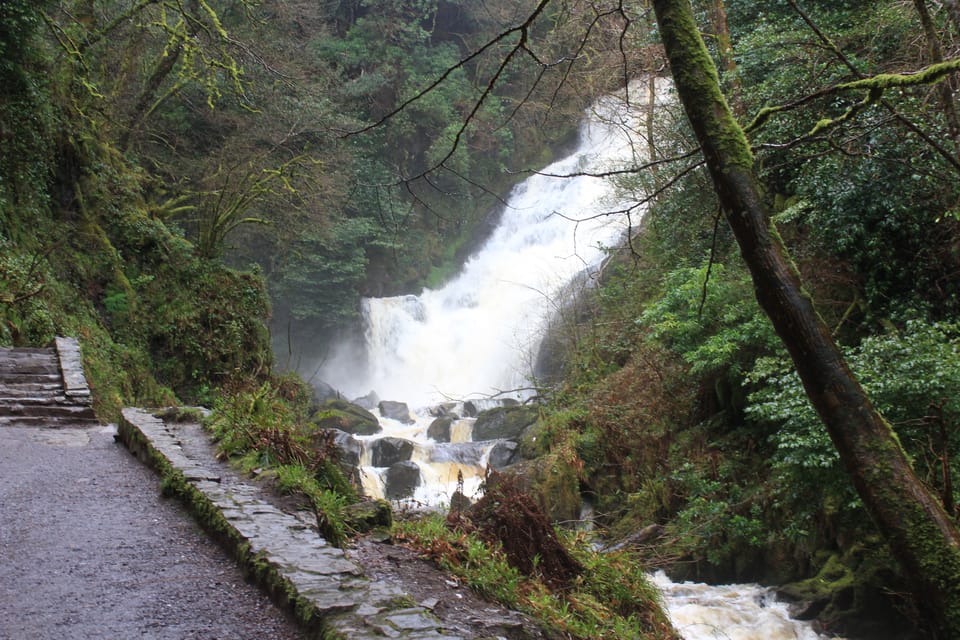 Private Wild Atlantic Day Tour from Cork - Transport reality: air-conditioned minivan, hotel pickup, and small-group comfort