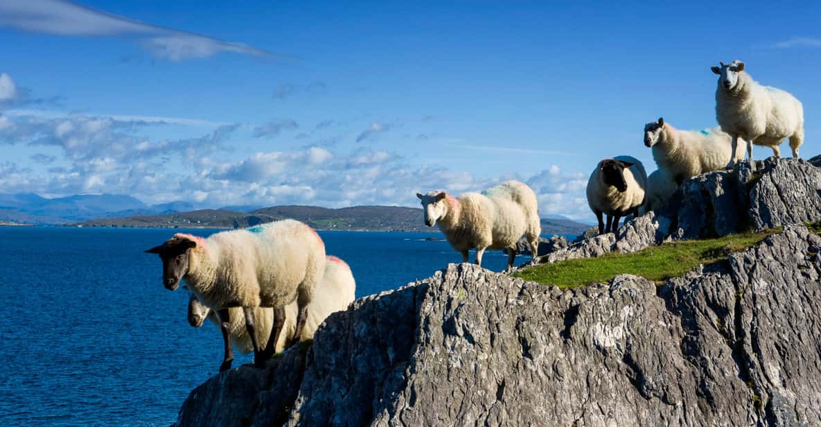 Private Wild Atlantic Day Tour from Cork - How the guide builds your day: must-see plus off-the-beaten track