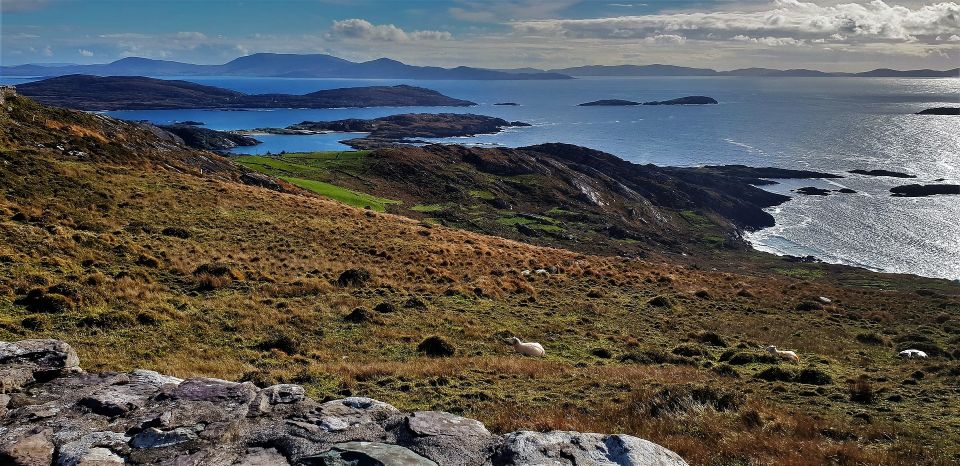 Rail Tour from Dublin: The Ring of Kerry - Cash and extra costs: the sheep-dog and bog village note