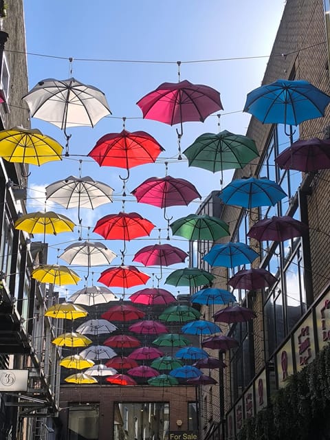 Secret and unusual Dublin: guided walking tour - Key highlights I’d plan around