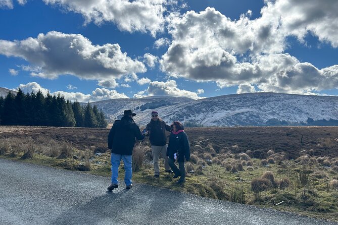 Sheepdogs in the countryside, authentic Dubliners city tour combo - Why this Dublin and Wicklow combo works better than doing it separately