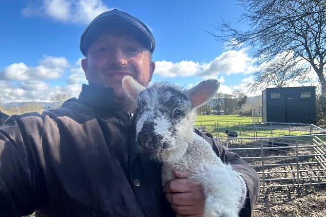 Sheepdogs in the countryside, authentic Dubliners city tour combo - Back to Dublin: getting your bearings along the River Liffey and bridges