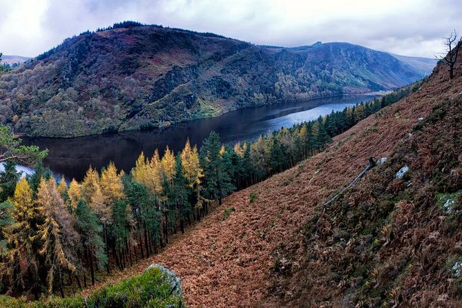 (Small Group) Shore Tour from Dublin:Dublin Highlights and Glendalough Day Trip - The return to Dublin: mountain scenery plus quick photo chances