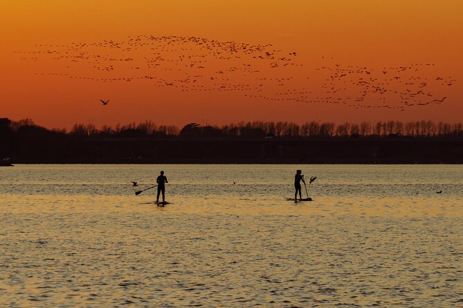 Sunset SUP experience in Malahide, Dublin - Key highlights before you go
