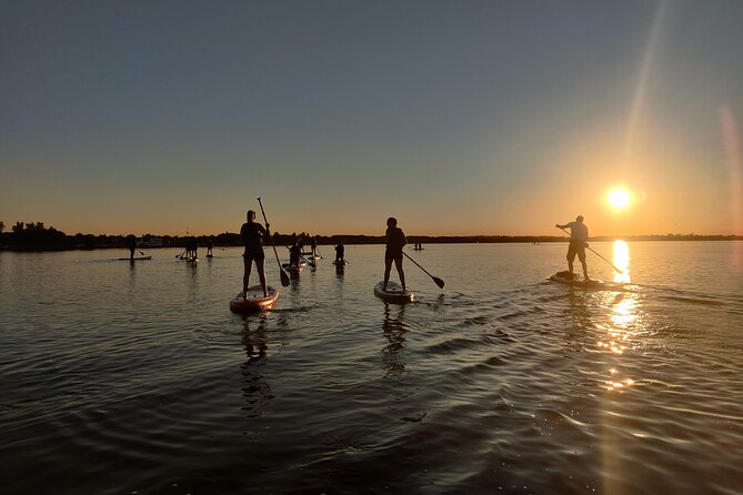 Sunset SUP experience in Malahide, Dublin - Malahide at Sunset: why this SUP class feels different