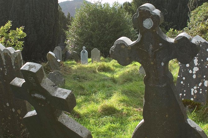 The Original Award Winning Wild Wicklow Tour incl. Glendalough - Lynhams of Laragh pub lunch: what’s included, what’s extra, and your backup plan