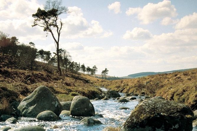 The Original Award Winning Wild Wicklow Tour incl. Glendalough - Glendalough Monastic Settlement: St Kevin’s valley of two lakes
