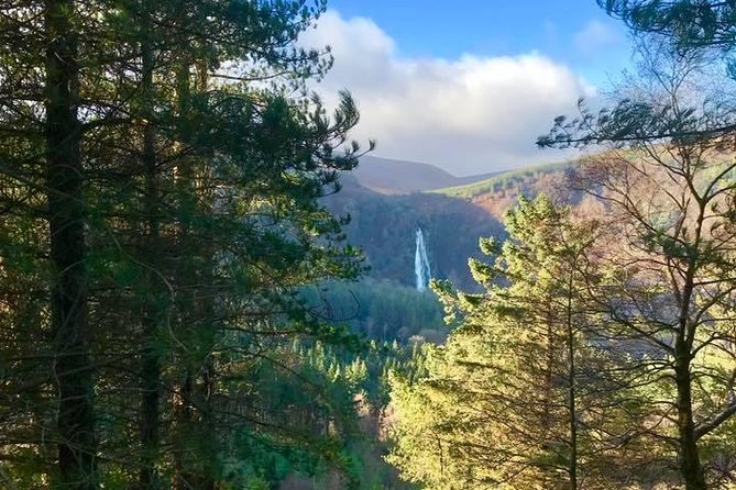 Tour Wicklow Mountains National Park in a limo with private guide - Wicklow Mountains National Park drive: heather, dark lakes, and movie roads