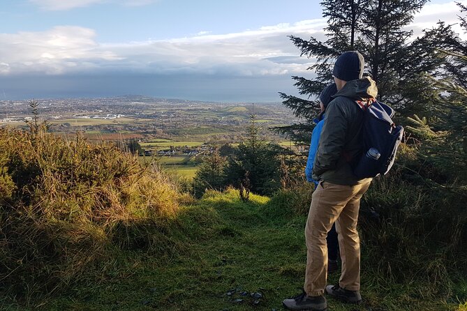 Trek the Tombs and Trails in the Dublin Mountains - Wild berries on the trail: a seasonal detail you should plan around