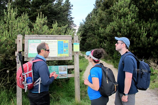 Trek the Tombs and Trails in the Dublin Mountains - Down through the forest to The Hazel House: your end-of-hike reward
