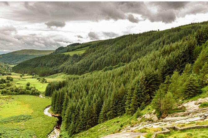 Wicklow and Glendalough Private Chauffeured Sightseeing Tour - Stop 3: Glendalough Monastic Settlement, where St. Kevin’s story is still readable