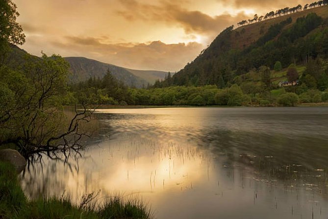 Wicklow Mountains & Glendalough Luxury Private Day Tour - Powerscourt Waterfall: the easy add-on if you want more Wicklow outdoors