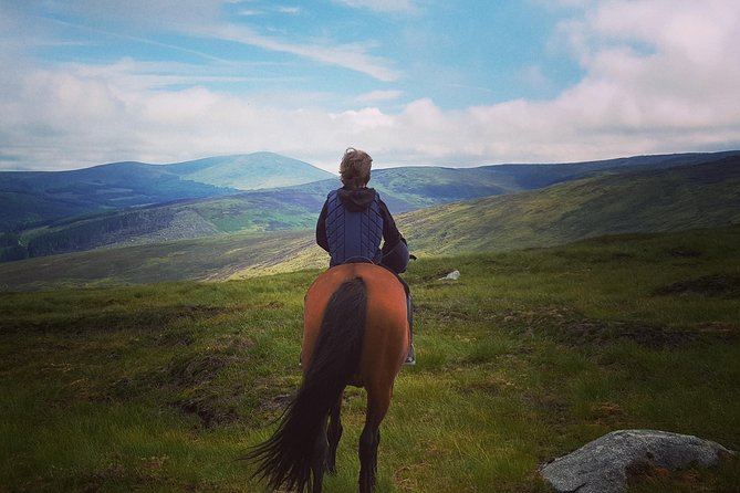 Wicklow Mountains Horse Trekking - Key things I’d bet on before you book