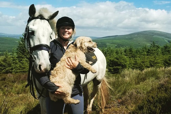 Wicklow Mountains Horse Trekking - Starting at Hollywood Horse and Pony Trekking (and why it’s easy)