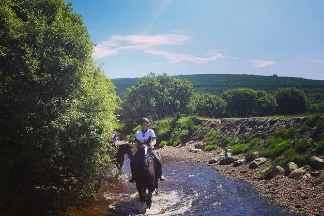 Wicklow Mountains Horse Trekking - Stop 1: Hollywood Horse And Pony Trekking (what matters most there)
