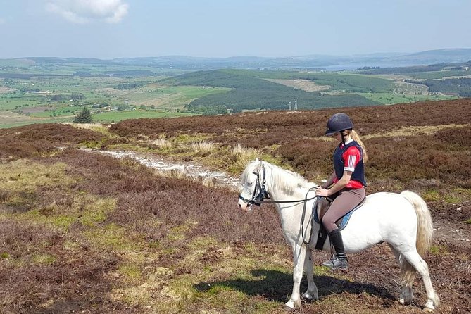 Wicklow Mountains Horse Trekking - Weather reality in Wicklow: what to expect and how to prepare