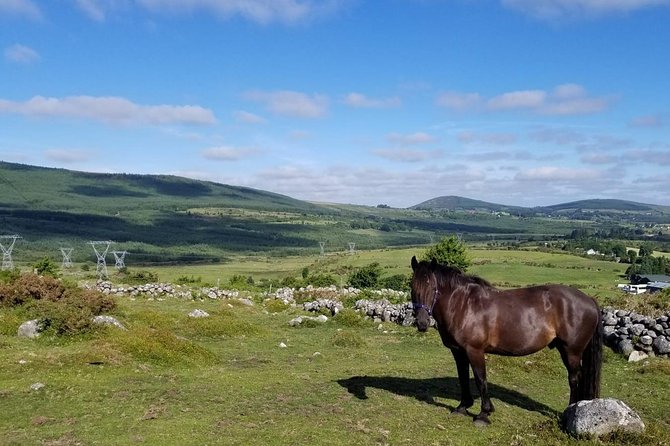 Wicklow Mountains Horse Trekking - The short lesson: your real prep for the saddle
