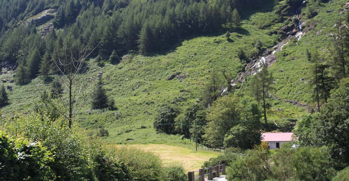Wicklow Mountains Private Day Tour including Glendalough - Key highlights to look for