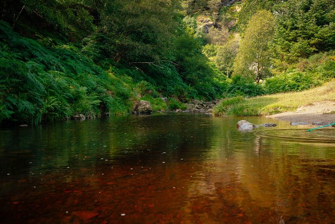 Wicklow Mountains Private Day Trip from Dublin - Price and what you’ll likely spend: $52 plus small add-ons