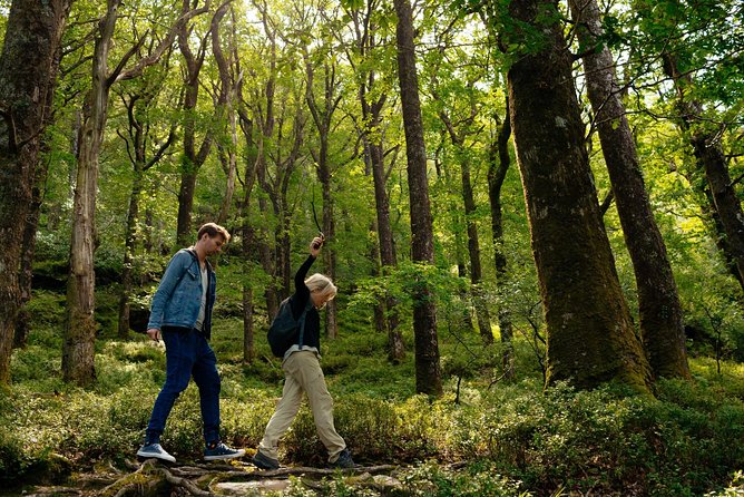 Wicklow Mountains Private Day Trip from Dublin - Who this Wicklow private trip suits best