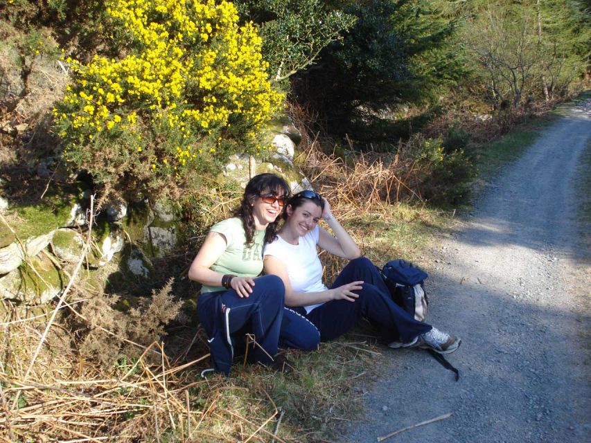 Wicklow: Private Day Tour from Dublin - Powerscourt House Gardens in Enniskerry: a scenic reset from the mountains