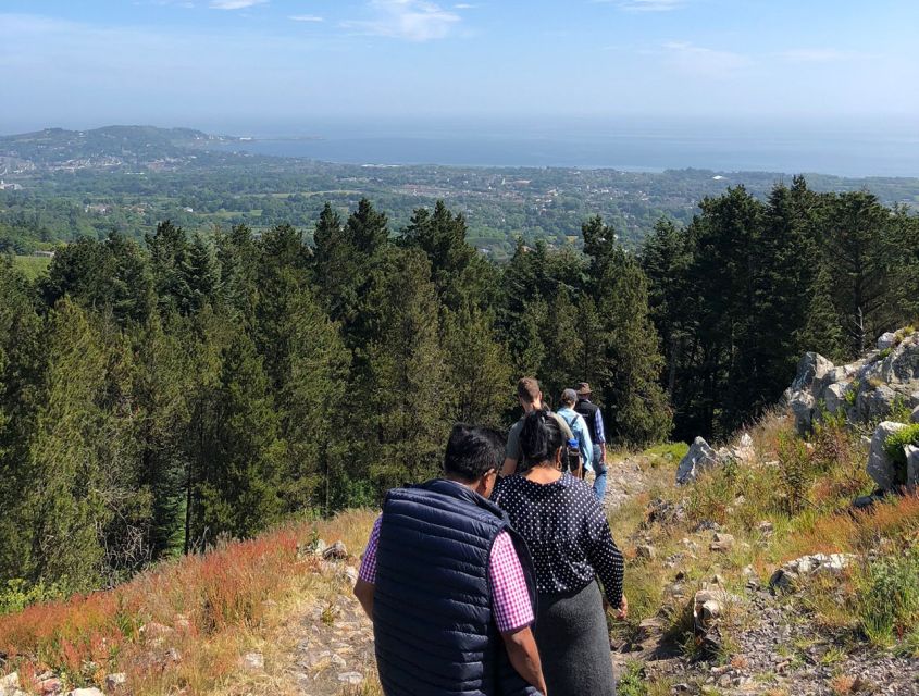 Wicklow: Private Day Tour from Dublin - Wicklow Mountains National Park scenic stops: Lough Brays, Luggala, and the P.S. I Love You bridge