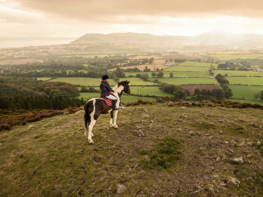 Wicklow: Private Day Tour from Dublin - When this tour fits best (and when it might not)