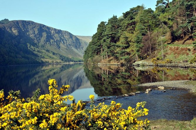 Wicklow tour of Glendalough - PS I Love You Bridge: A Quick Stop That Still Feels Worth It